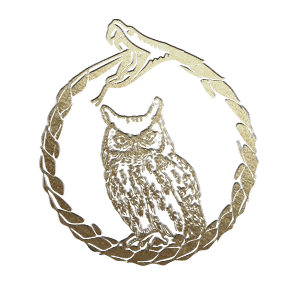 ТРАНСФИНИТ ГРУПП